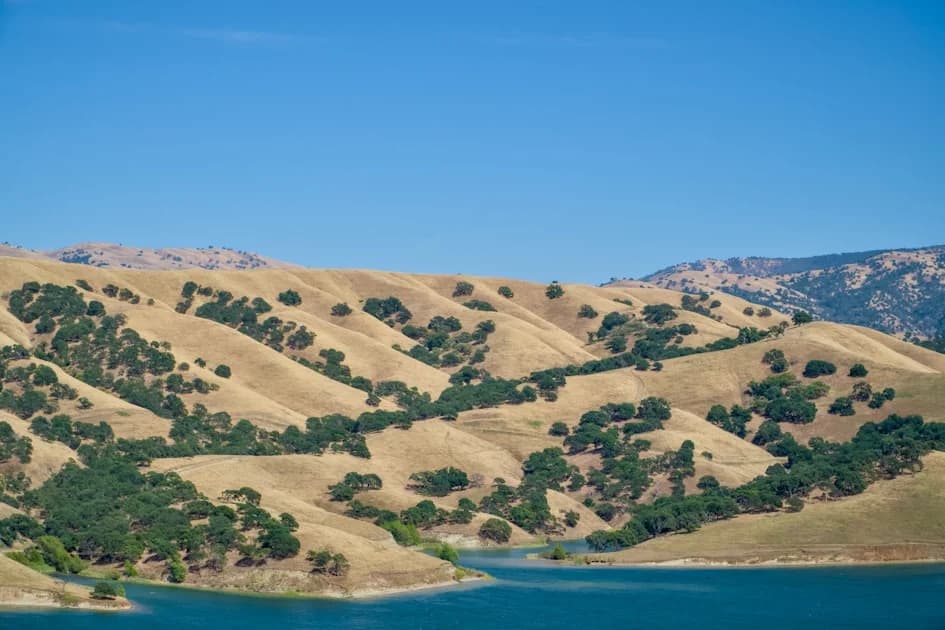 Cover Image for California SB-53 Frontier AI Act (AI regulation) Explained